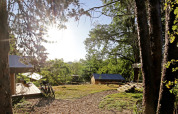 Sunny view of wooden cabins and bicycles in the forested Camping d'Angers - Lac de Maine holiday park, France.