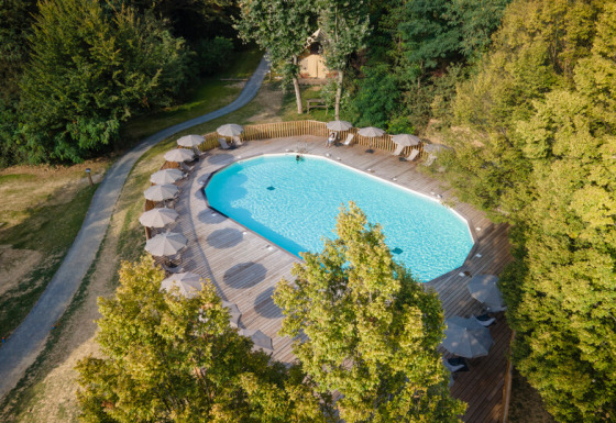 Luftaufnahme des Pools mit Sonnenliegen und Schirmen, umgeben von Bäumen im Camping de Lyon, Frankreich.