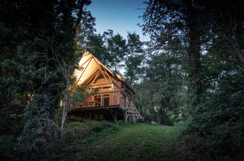 Cabaña de madera iluminada en Camping de Lyon, Auvergne-Rhône-Alpes, Francia, rodeada de bosque verde.
