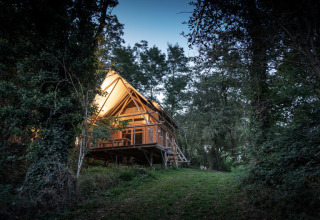 Verlicht houten chalet op Camping de Lyon in Auvergne-Rhône-Alpes, Frankrijk, omringd door bosrijk groen.