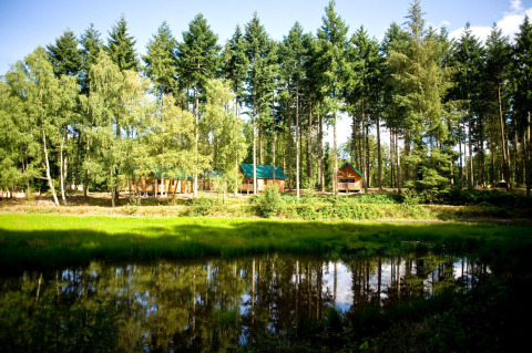 Houten chalets met groene daken aan een vijver, gelegen in het bos bij Village Huttopia Senonches, Frankrijk.