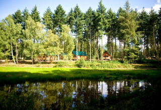 Houten chalets met groene daken aan een vijver, gelegen in het bos bij Village Huttopia Senonches, Frankrijk.