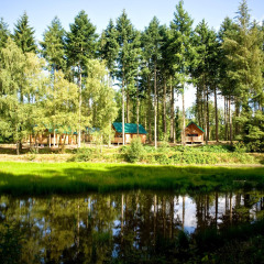 Cabañas de madera con techos verdes junto a un estanque en un bosque en Village Huttopia Senonches, Francia.