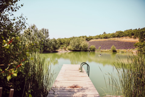 Muelle de madera sobre un lago tranquilo con campos de lavanda en Village Huttopia Dieulefit, Francia.