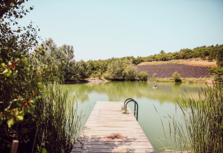 Wooden dock overlooking a tranquil lake and lavender fields at Village Huttopia Dieulefit, France.