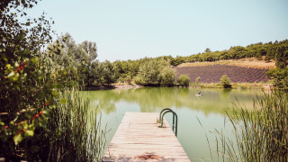 Muelle de madera sobre un lago tranquilo con campos de lavanda en Village Huttopia Dieulefit, Francia.