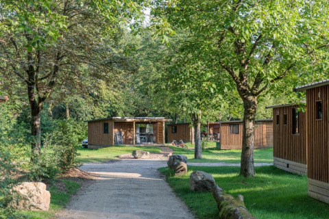 Un sendero rodeado de árboles y cabañas de madera en Camping Valkenburg - Maastricht, Limburg, Países Bajos.