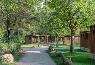 Een rustig pad omringd door bomen en houten chalets in Camping Valkenburg - Maastricht, Limburg, Nederland.