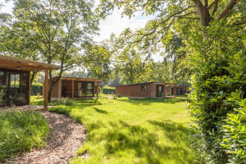 Cabañas de madera rodeadas de naturaleza en Camping Valkenburg - Maastricht, parque vacacional en Limburgo, Países Bajos.