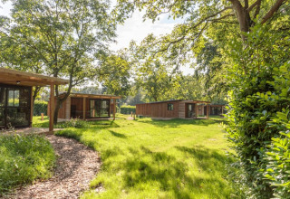 Cabañas de madera rodeadas de naturaleza en Camping Valkenburg - Maastricht, parque vacacional en Limburgo, Países Bajos.