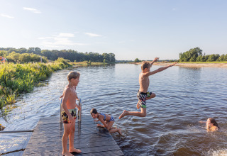 Kinder springen von einem Holzsteg ins Wasser im Ferienpark Huttopia De Roos, Overijssel, Niederlande.