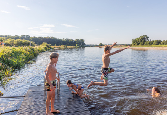 Børn leger og hopper i vandet fra en træbro ved en sø i Huttopia De Roos, Overijssel, Nederlandene.