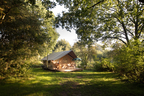 Tienda de safari acogedora bajo la luz del sol en Huttopia De Roos, rodeada de bosque verde en Overijssel, Países Bajos.