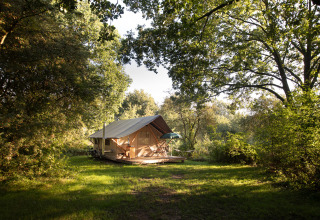 Tienda de safari acogedora bajo la luz del sol en Huttopia De Roos, rodeada de bosque verde en Overijssel, Países Bajos.