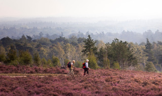 Dos excursionistas con mochilas caminan por campos de brezo cerca de Beerze-Ommen, Overijssel, Países Bajos.