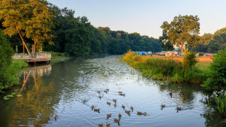 Río con patos, paisaje verde y tiendas de campaña al fondo en Huttopia De Roos, un parque en Overijssel.