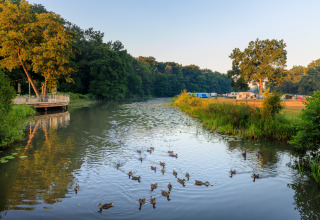 Fiume con anatre, paesaggio verde e tende sullo sfondo al villaggio Huttopia De Roos, Overijssel.