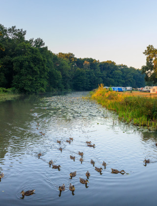 Río con patos, paisaje verde y tiendas de campaña al fondo en Huttopia De Roos, un parque en Overijssel.