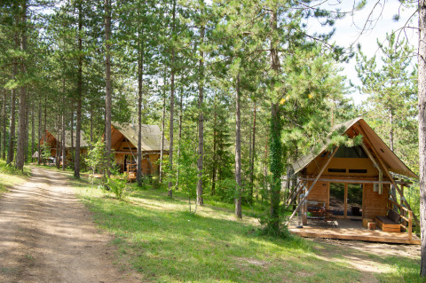 Houten chalets tussen de pijnbomen in Village Huttopia Lanmary vakantiepark in Nouvelle-Aquitaine, Frankrijk.