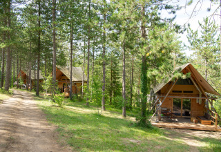 Wooden cabins nestled among pine trees at Village Huttopia Lanmary holiday park in Nouvelle-Aquitaine, France.