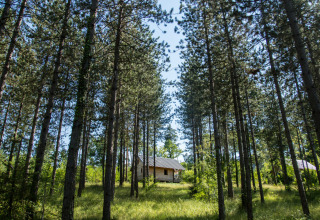 Hütte im Wald im Ferienpark Village Huttopia Lanmary, Nouvelle-Aquitaine, Frankreich.