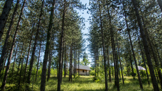 Cabaña entre los árboles en Village Huttopia Lanmary, parque de vacaciones en Nouvelle-Aquitaine, Francia.