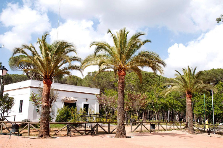 Tres palmeras frente a un edificio blanco en Huttopia Parque de Doñana, un parque vacacional en Andalucía, España.