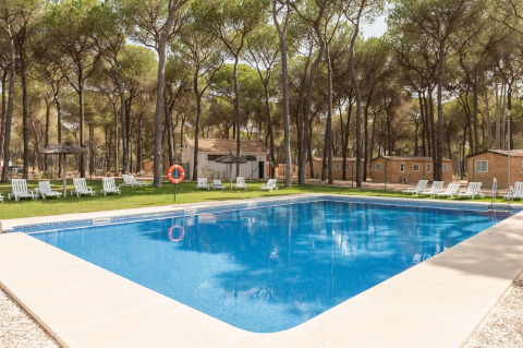Piscina exterior rodeada de tumbonas, árboles y cabañas en Huttopia Parque de Doñana en Andalucía, España.