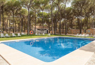 Udendørs swimmingpool omgivet af solsenge, træer og hytter på Huttopia Parque de Doñana i Andalusien, Spanien.