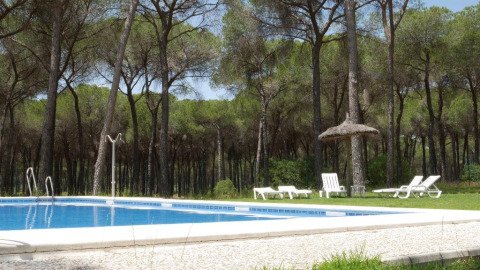 Piscina al aire libre con tumbonas y pinos en Huttopia Parque de Doñana, Andalucía, España.