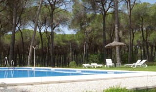 Outdoor swimming pool with sun loungers and pine trees at Huttopia Parque de Doñana holiday park, Andalusia, Spain.
