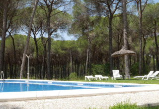 Outdoor swimming pool with sun loungers and pine trees at Huttopia Parque de Doñana holiday park, Andalusia, Spain.