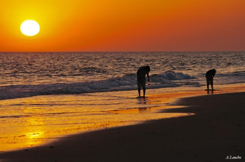Dos personas recogen conchas al atardecer en la playa cerca de Hinojos, Andalucía, bajo un cielo anaranjado.