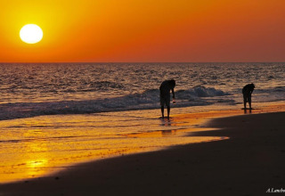 Two people collect shells on the beach at sunset near Hinojos, Andalusia, with an orange sky over the sea.