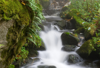 Misty forest stream cascading over rocks with lush vegetation at Village Huttopia Sud-Ardèche, France.