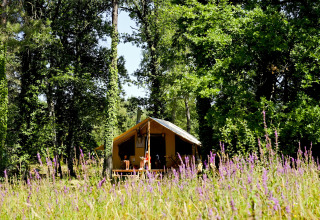 Tienda safari Trappeur en Village Huttopia Lac de Rillé, Francia, rodeada de bosque y flores silvestres.