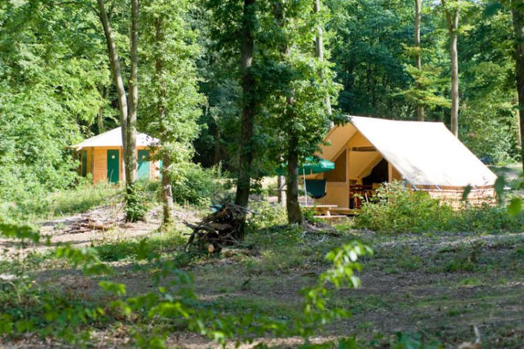 Canadienne safari tent at Village Huttopia Senonches, France, nestled among trees in a lush green forest.