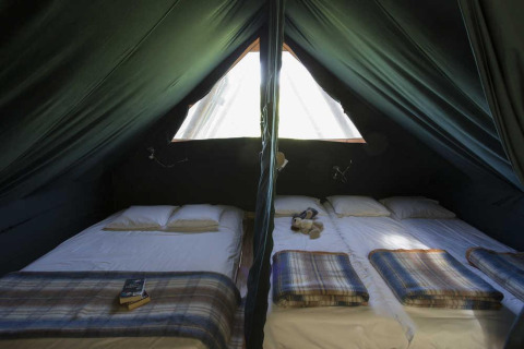 Binnenkant van een Cahutte safaritent met twee bedden en dekens in Village Huttopia Senonches, Frankrijk.