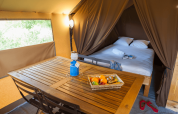 Vista interior de la Trappeur Tent II en Camping Huttopia De Veluwe con cama, mesa y canasta de frutas.