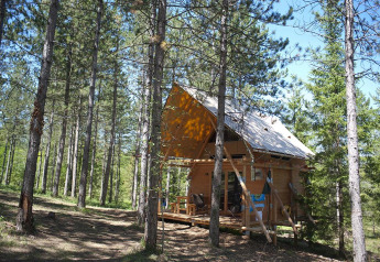 Safari-teltet Cahutte i Village Huttopia Lanmary, Frankrig, omgivet af høje fyrretræer under blå himmel.