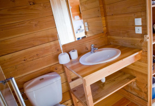 Compacte badkamer met een modern toilet en wasbak, omlijst door warme houten panelen in een hut.