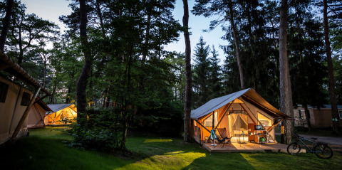 Illuminated Trappeur safari tents in the forest at dusk, surrounded by tall trees and a bicycle in front.