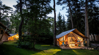 Tentes safari Trappeur éclairées en forêt le soir, entourées d’arbres et d’un vélo à l’avant.