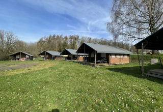 Mehrere Lodges auf einer Wiese beim Camping La Colline, Coco Lodge, Belgien, unter blauem Himmel.