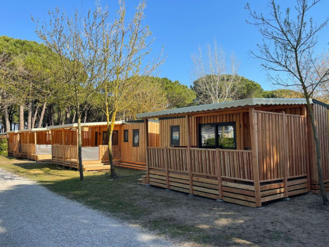 SunLodge Babul presso Camping Gasparina in Italia con lodge moderni in legno circondati da alberi e natura.