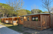 SunLodge Babul at Camping Gasparina in Italy showing modern wooden lodges surrounded by trees and greenery.