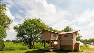 Foto exterior de la tienda safari Treehouse tent en Holiday Park Mölke, Países Bajos, rodeada de naturaleza.