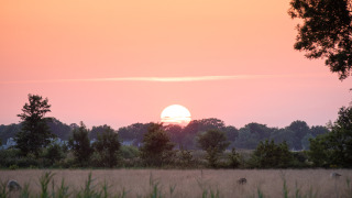 Puesta de sol sobre campos y árboles en Ackerlodges Ruinerwold BV, parque vacacional en Drenthe, Países Bajos.