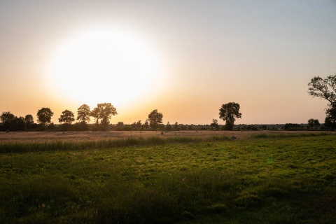 Atardecer sobre campos y árboles en Ackerlodges Ruinerwold BV, parque vacacional en Drenthe, Países Bajos.