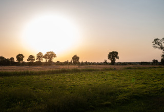 Atardecer sobre campos y árboles en Ackerlodges Ruinerwold BV, parque vacacional en Drenthe, Países Bajos.